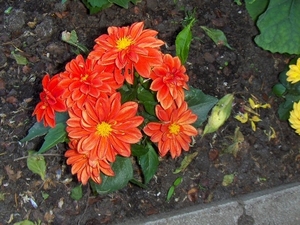 28-05-09 024
