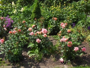 juni 016
