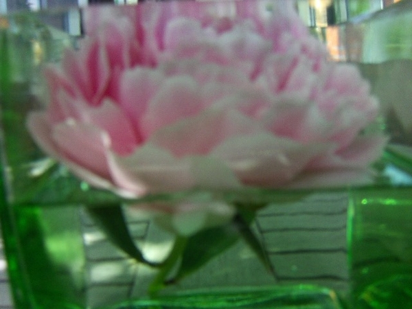 juni 043