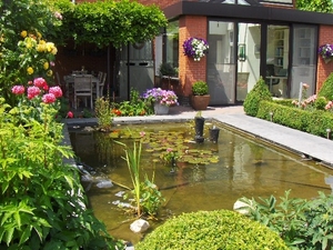 de vijver 004