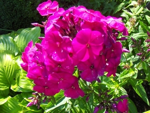 12 juli 012