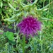 12 juli 040