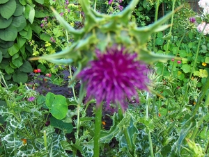 12 juli 040