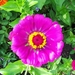 12 juli 042