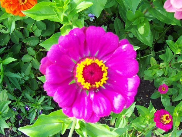 12 juli 042