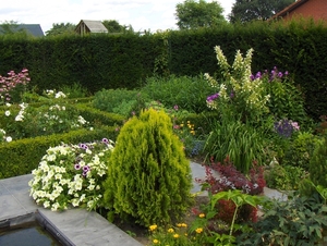 eind juli 002