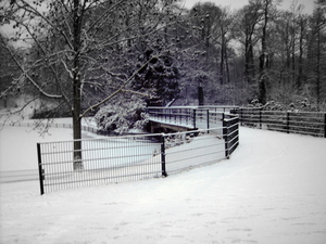 Steytelinckpark in Wilrijk