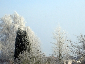 winter,sneeuw