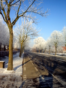 de doornstraat