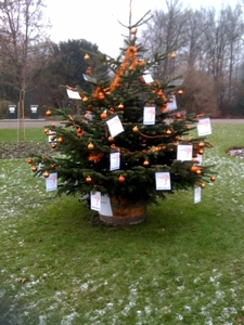 Kerstboom in het Amstelpark