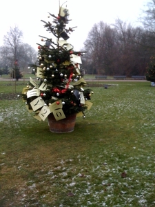 Amstelpark 1 Januari 2009
