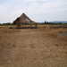 Amphoralis