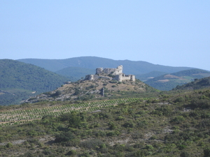 Queribus