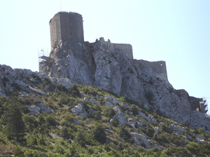 Queribus