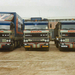 3 X Daf