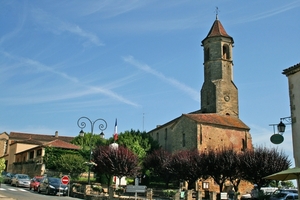dor 310