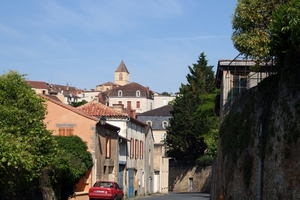 dor 313