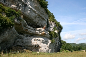 dor 341