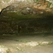 dor 347