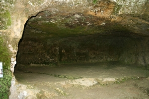 dor 347