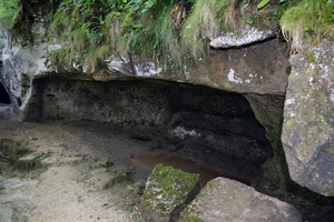 dor 348