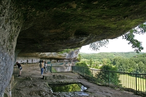 dor 349