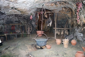 dor 354