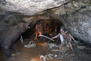 dor 355