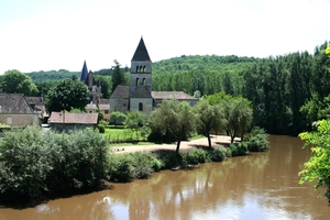 dor 361