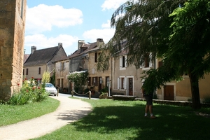 dor 365