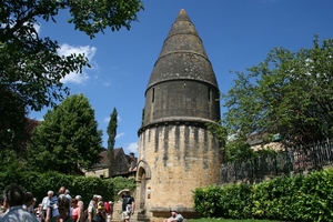 dor 429