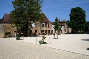 dor 478