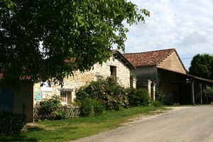 dor 527
