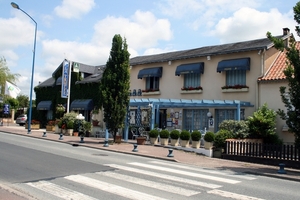 dor 533