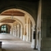 dor 547