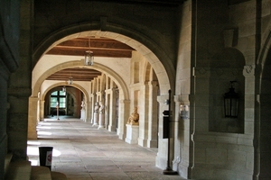dor 547