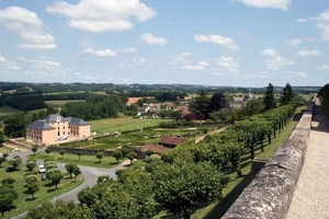 dor 558