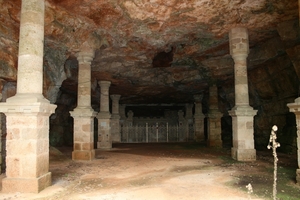 dor 645