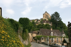 dor 864