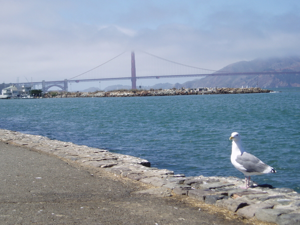 Westkust Amerika september 2005 338