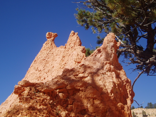 Westkust Amerika september 2005 164