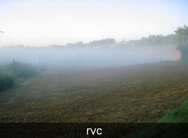 Vroeg vertrekken: door het bos van Auch.