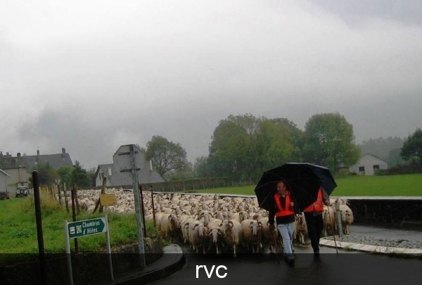 Regen, voor onze tocht naar Urdos