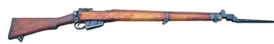 lee-enf1