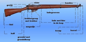 lee12