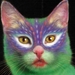 Herschaalde kopie van poes11