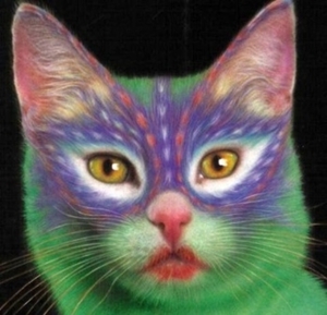 Herschaalde kopie van poes11