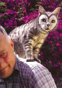 Herschaalde kopie van poes12