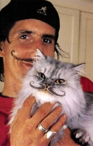 Herschaalde kopie van poes17