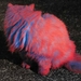 Herschaalde kopie van poes20